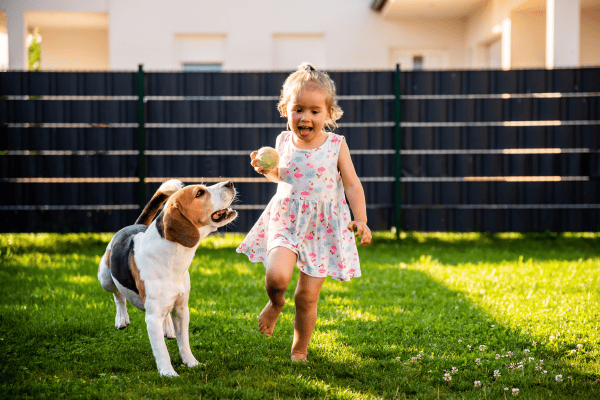 Dog waste removal service in Kitsap County – multiple full trash bags tied with orange straps and a scooping tool on a green lawn.
